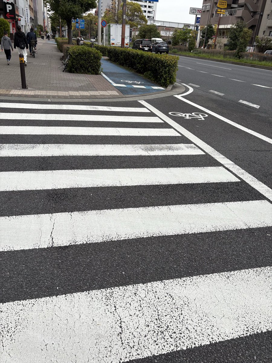 よもぎ 🍃🐏🥦 tweet media