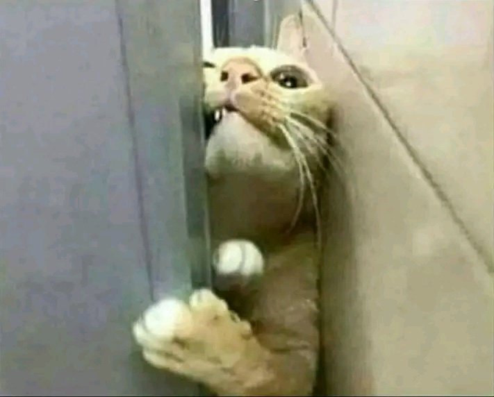 KasiboySA tweet media