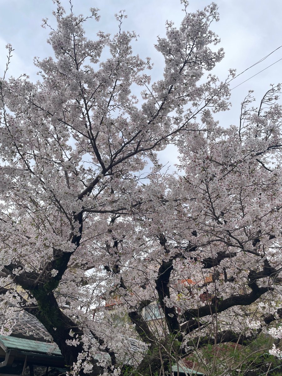 詩誌「蛇と星」第9号

・セブンイレブン
ZCBD2QNU
2026/05/05 23:59まで

・その他
RMR2CBYFXW
2026/05/05 12:00まで

※冊子印刷推奨
セブンイレブンの場合は「用紙サイズ」で「A3」、「小冊子」で「右とじ/下とじ」を選択して、ネットワークプリントの場合は画面の指示に従って印刷ください。