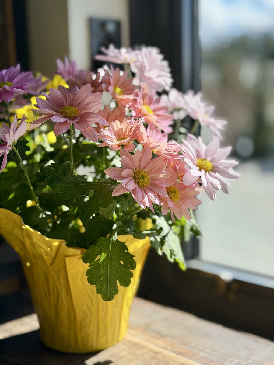 Explorer tweet media