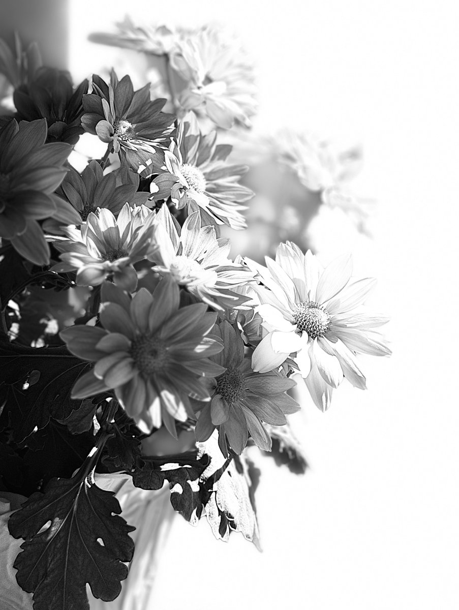 Explorer tweet media