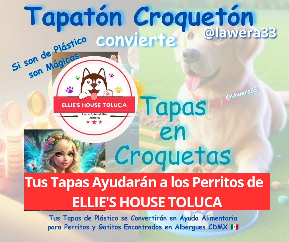 lawera33's tweet photo. ❤️🐶❤️🐶❤️🐶❤️🐶❤️🐶Vamos a Ayudar a los Perritos de #ElliesHouseToluca
Llevando #Tapitas a:
📌 Carlos Arruza esquina Silverio Pérez, Villas Santin #Toluca #Edomex
#TapatonCroqueton #LaWera33
#fypシ゚viral #fypシ゚ #fypシ゚viralシfypシ゚ https://t.co/vdUmh0YWaW