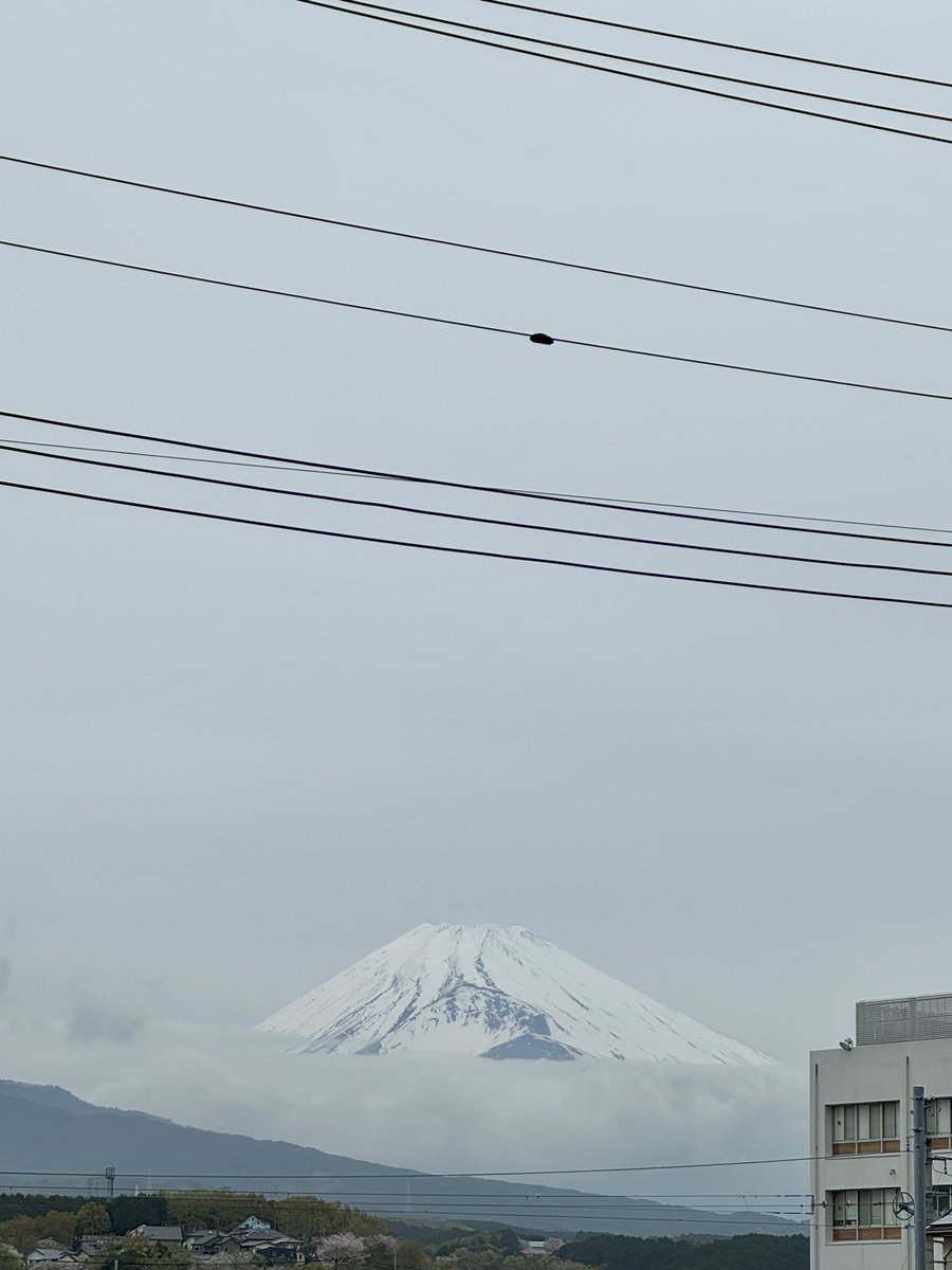 nejikuman tweet media