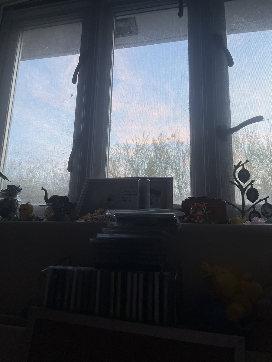 watching the sun rise from my bed