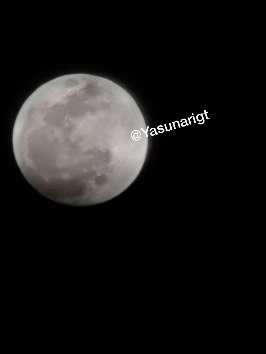 Yasu Rubinstein tweet media