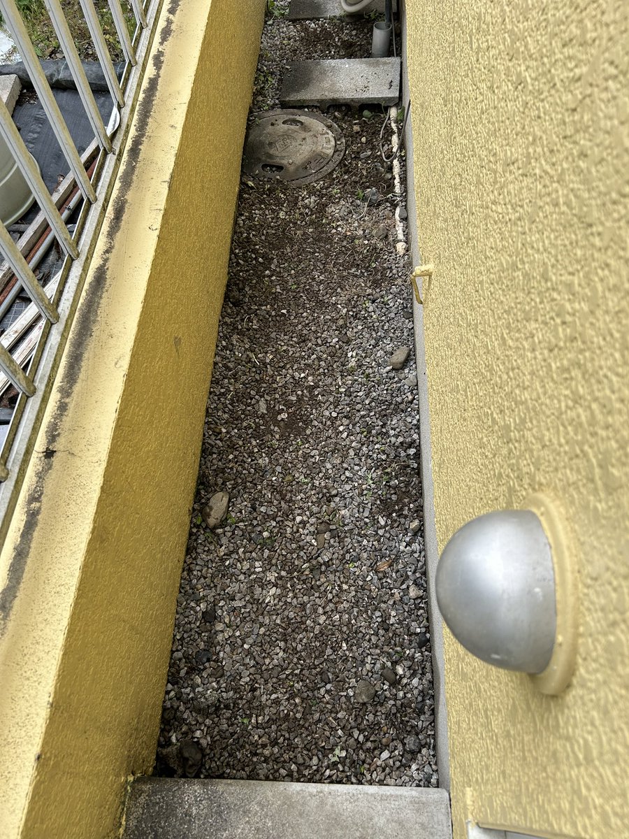 裏庭が大変な事になっていたので頑張りました🌱🌱スッキリ☺️