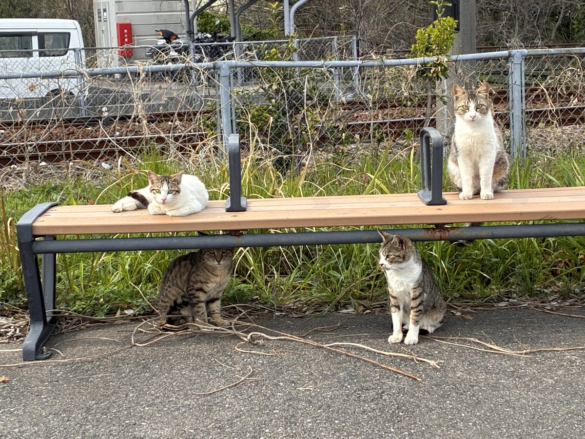 kunio2n's tweet photo. 癒されるなあ https://t.co/vM2IfAOY54