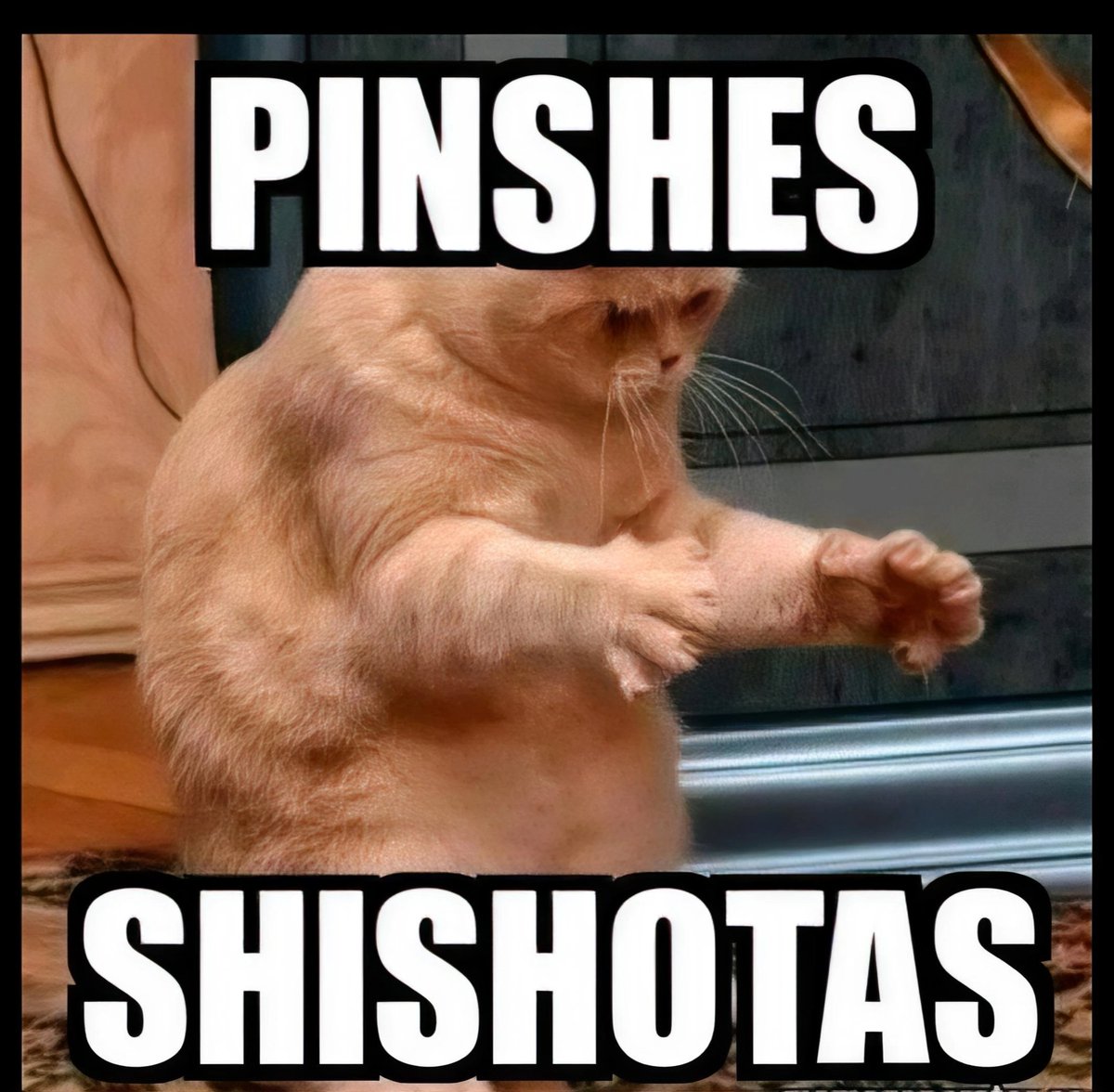 oscarflores tweet media