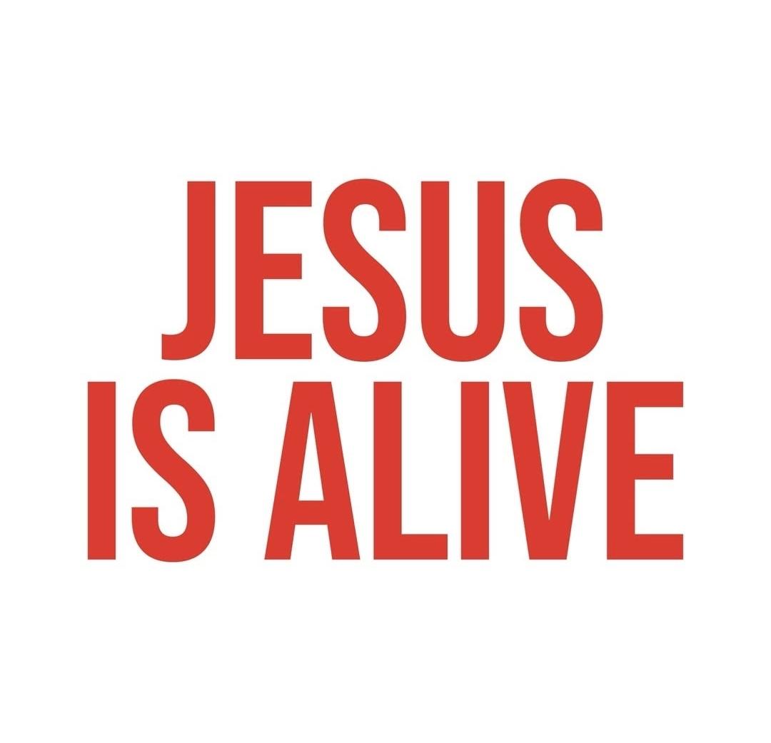 BAD BOY MATERIAL tweet media