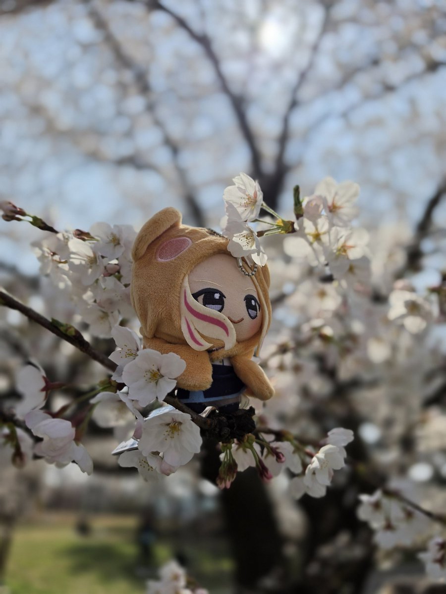 AengBorr（エンボル）@ストレイxr両日 tweet media