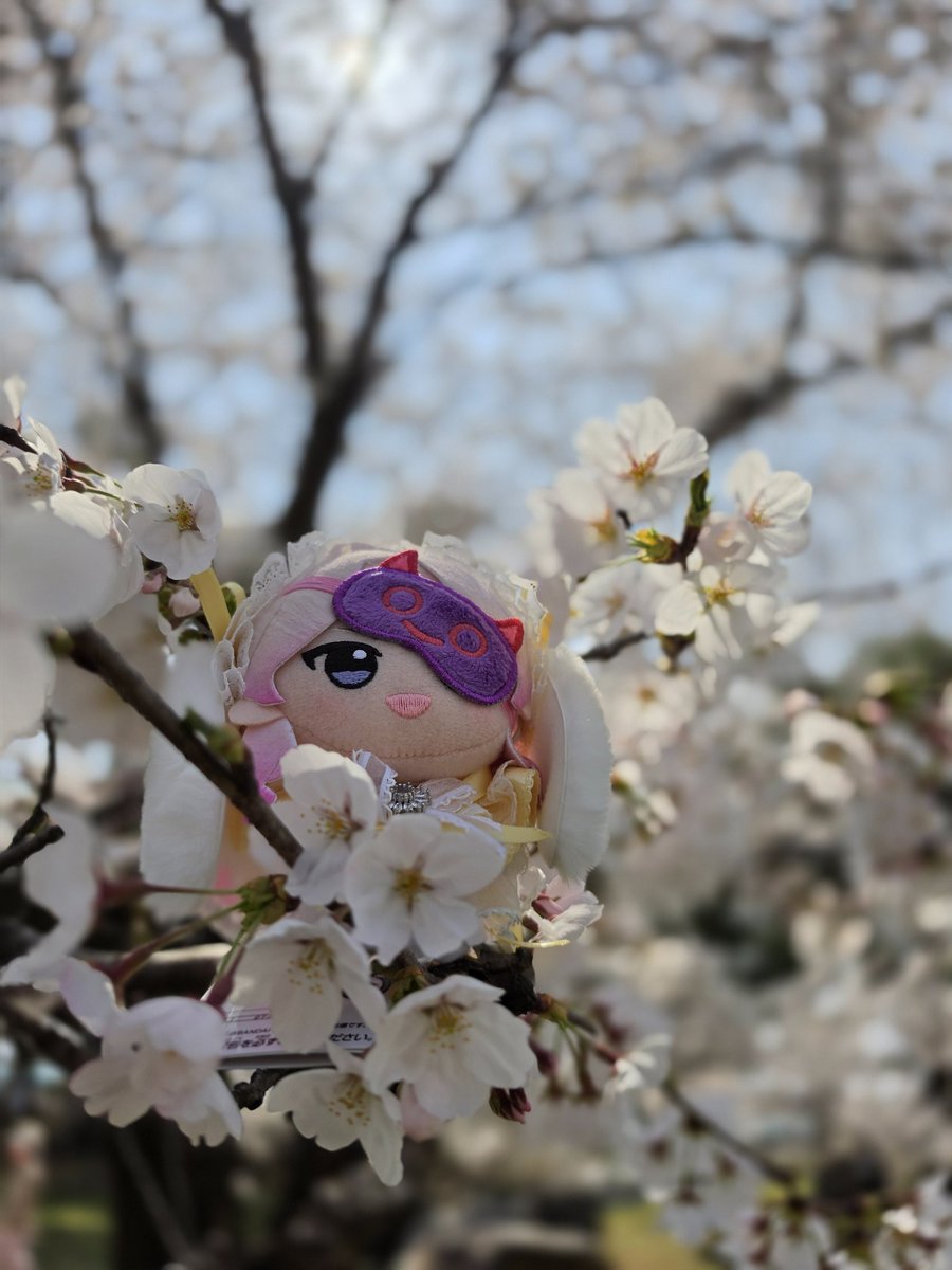 AengBorr（エンボル）@ストレイxr両日 tweet media