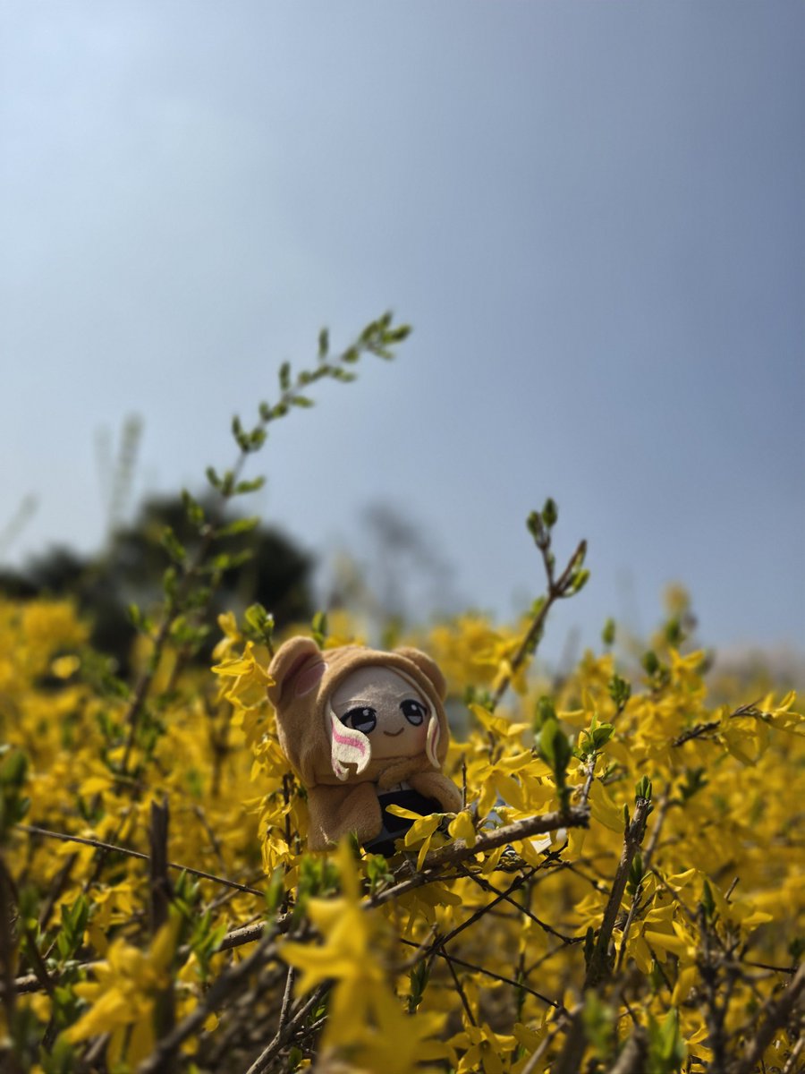 AengBorr（エンボル）@ストレイxr両日 tweet media