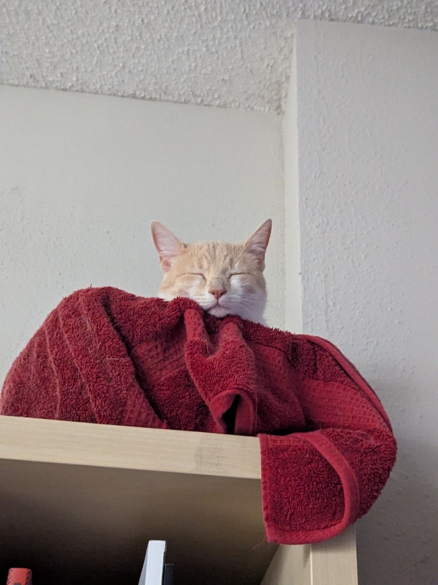 ScruffyXL tweet media