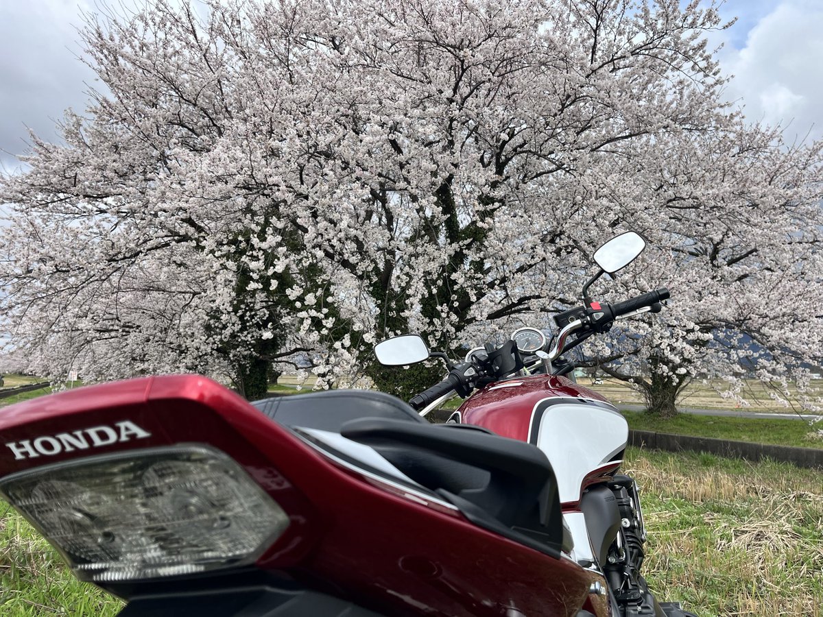 川崎でーす。 tweet media