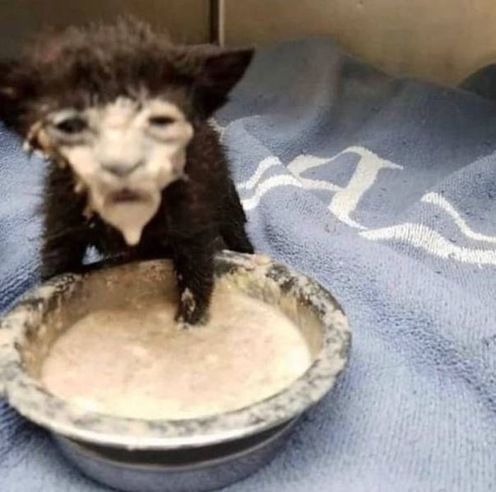 구모리 tweet media