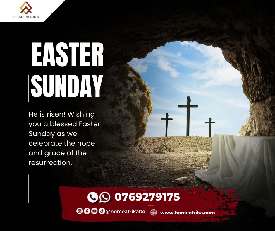 HomeAfrika tweet media