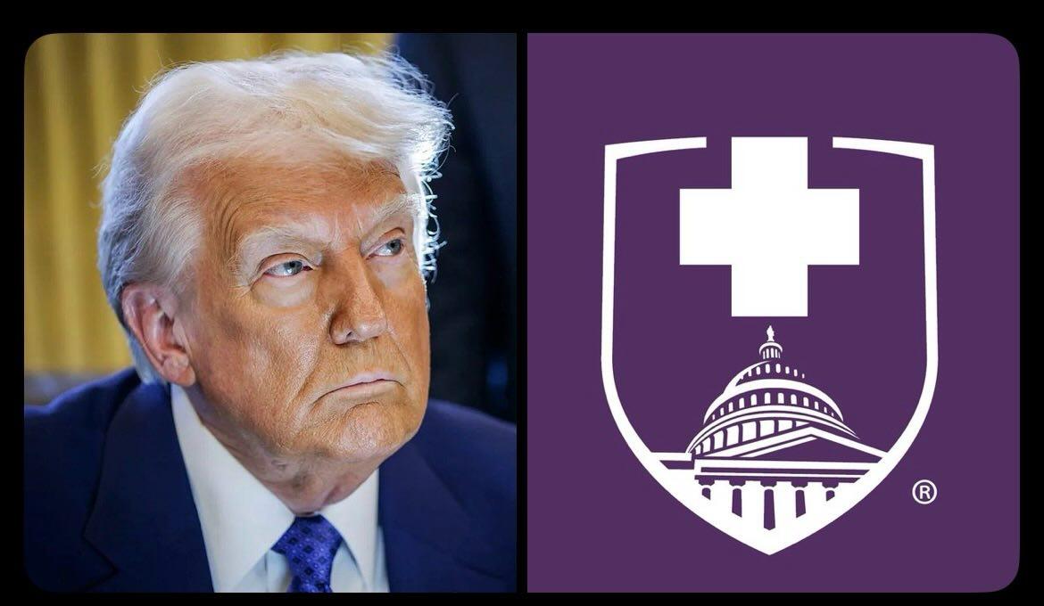 ZuritaCarpio tweet media