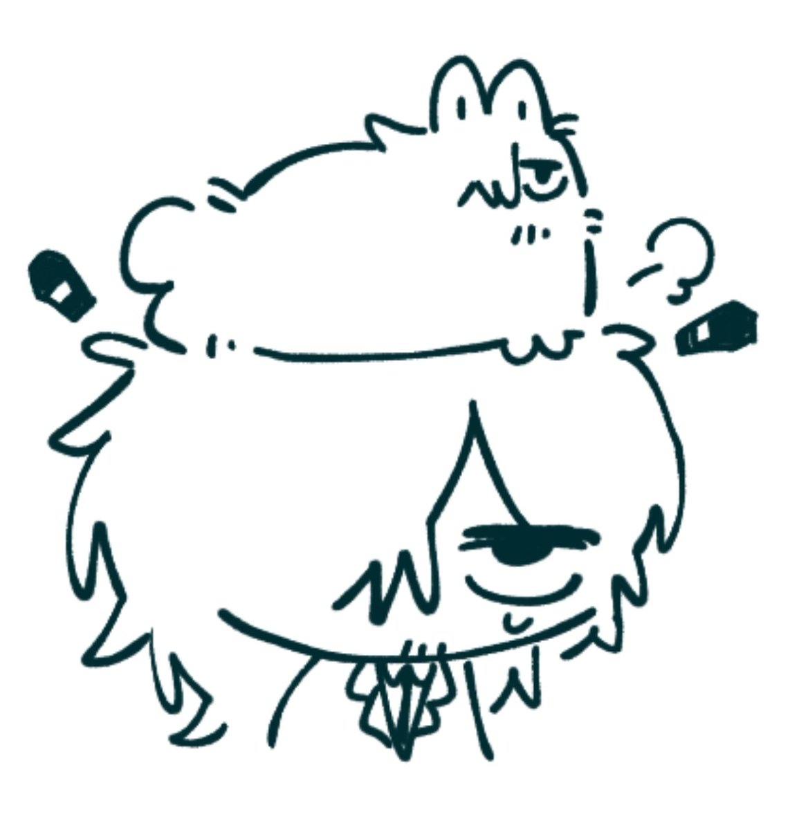 킴투스 tweet media