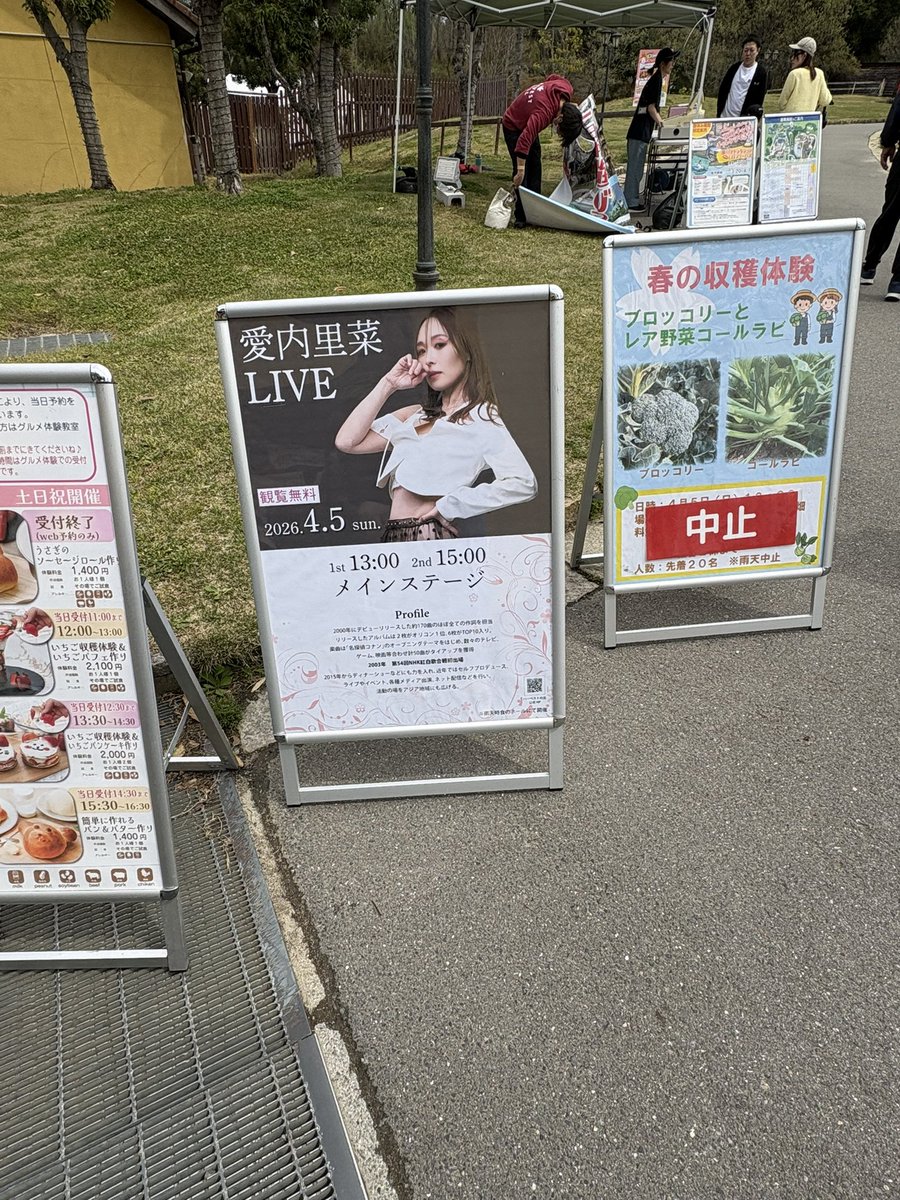 ショレア・ロブスタ tweet media