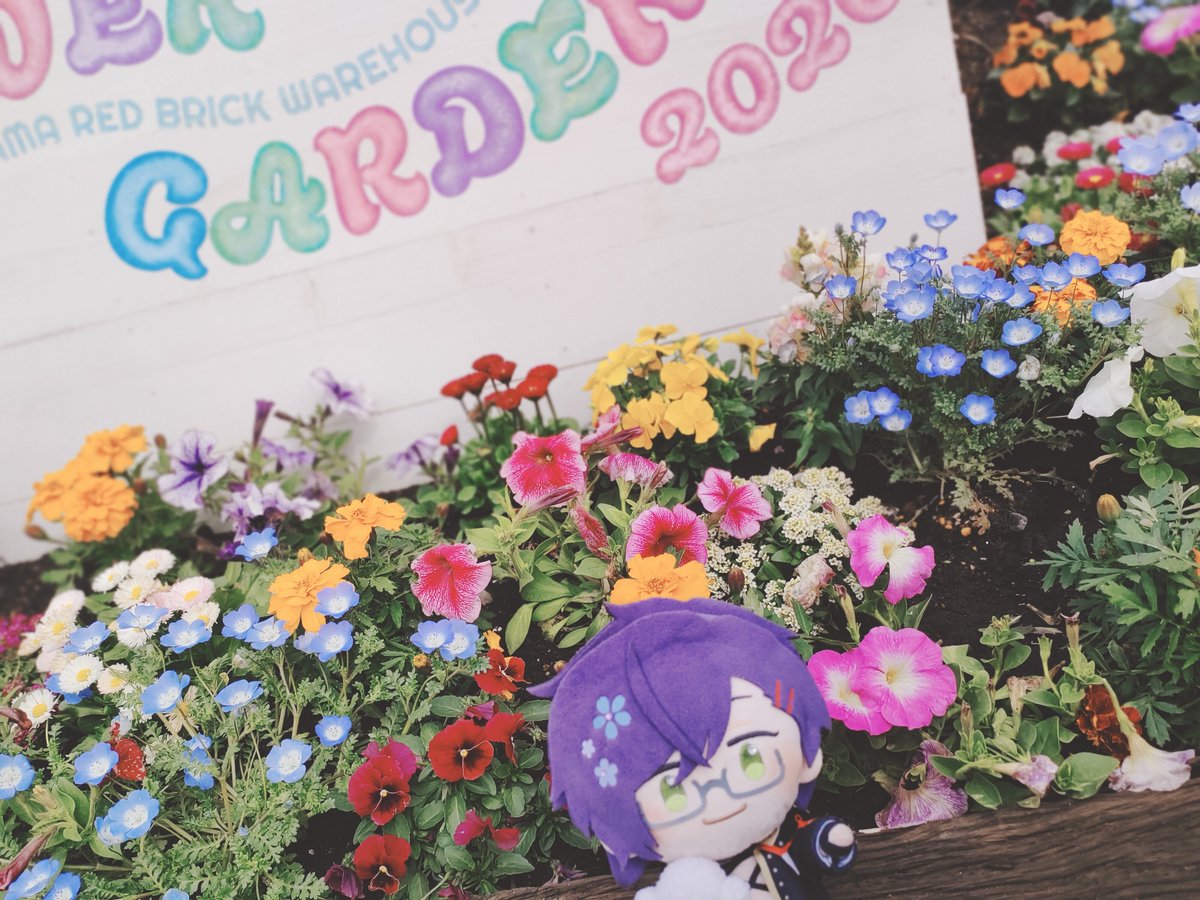 ﾐｿｷﾞﾝﾁｬｸｶｰﾆﾊﾞﾙ tweet media