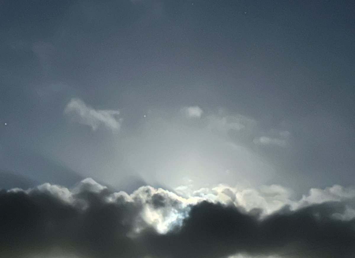 Nonentity. tweet media