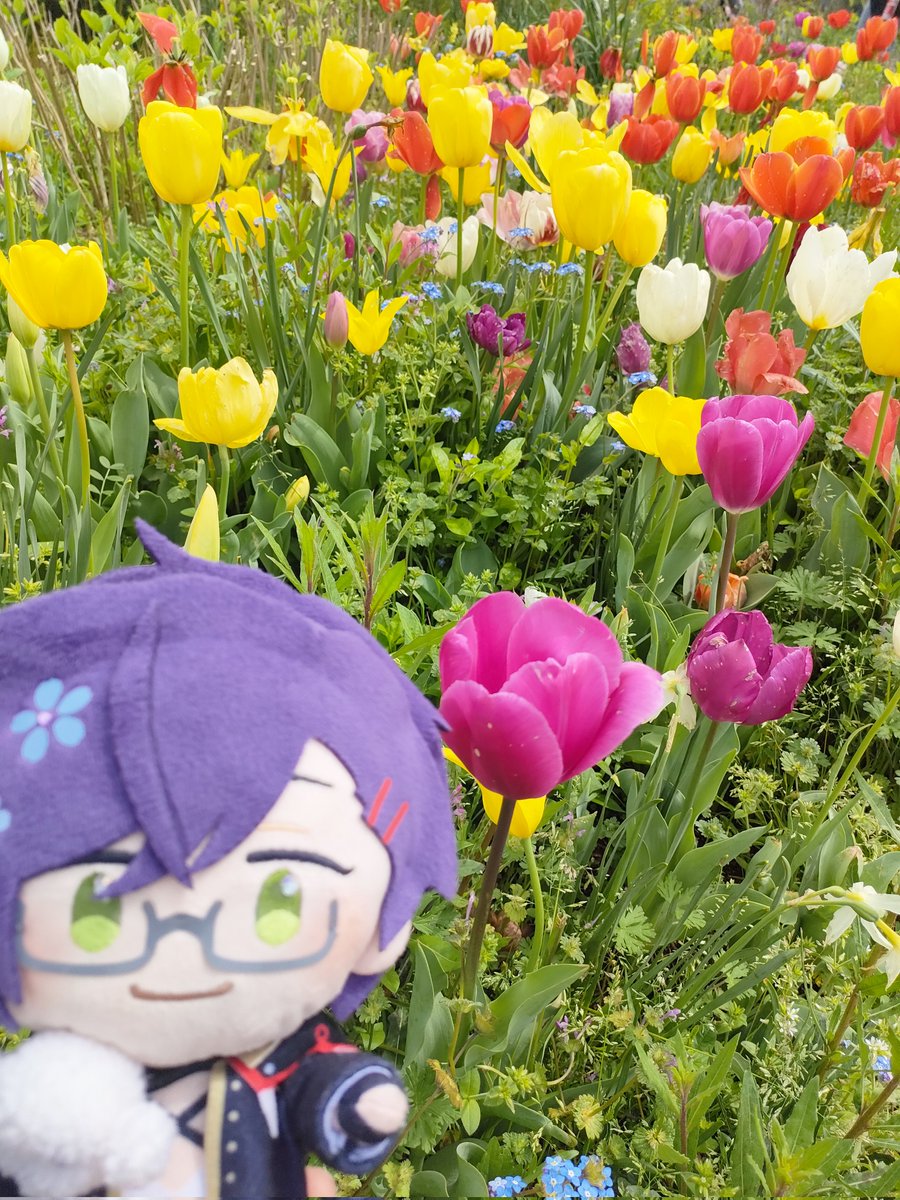 ﾐｿｷﾞﾝﾁｬｸｶｰﾆﾊﾞﾙ tweet media