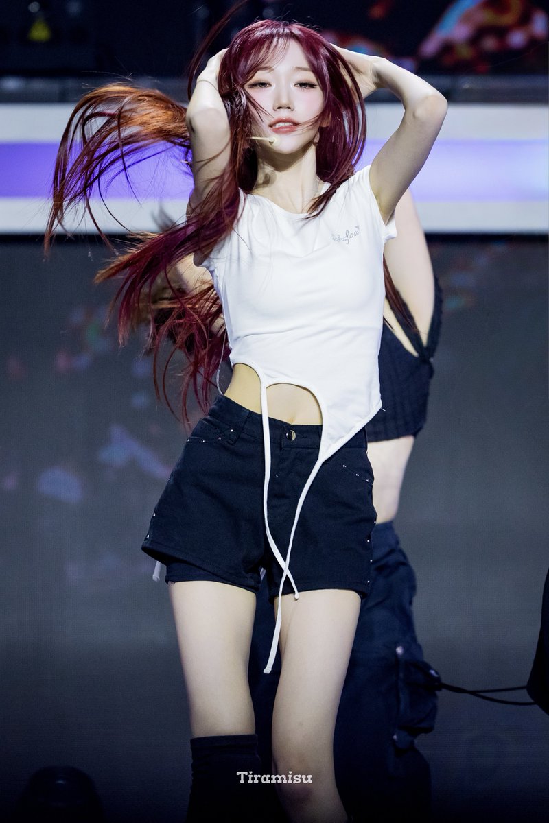 Tiramisu tweet media