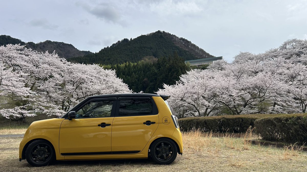 プリン🍮 tweet media