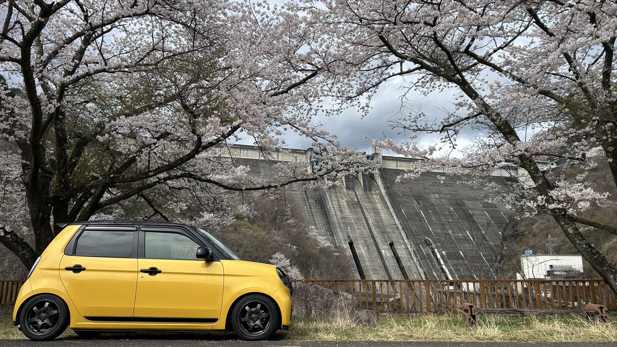 プリン🍮 tweet media