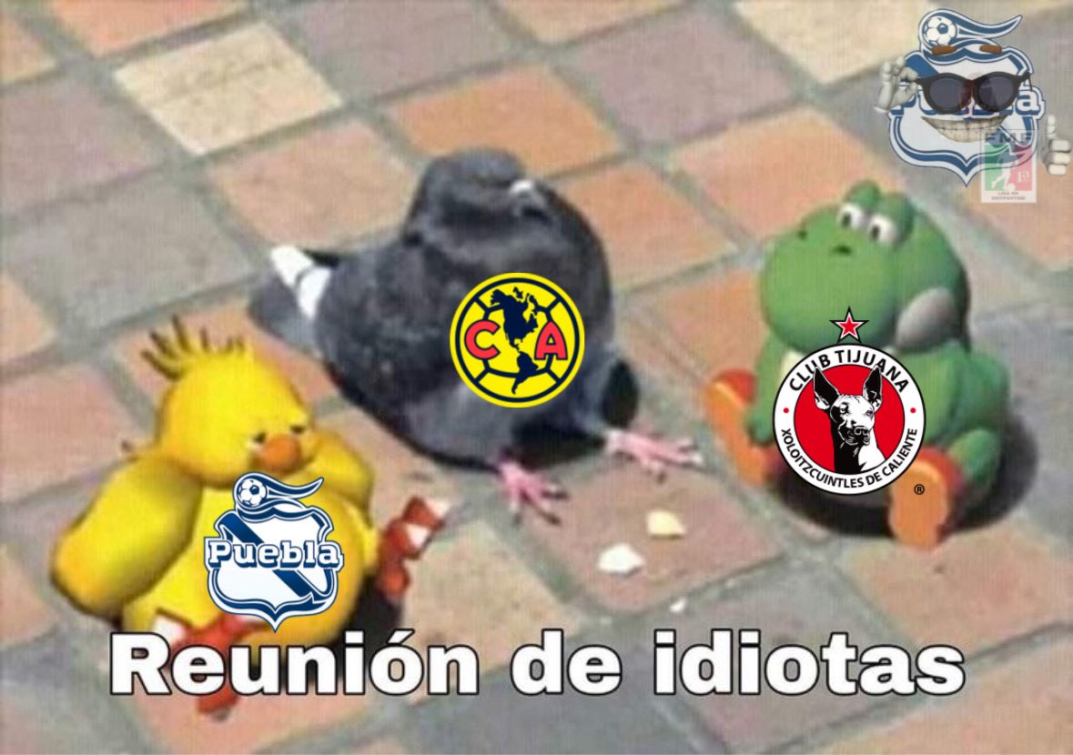 Club Puebla Shitposting tweet media