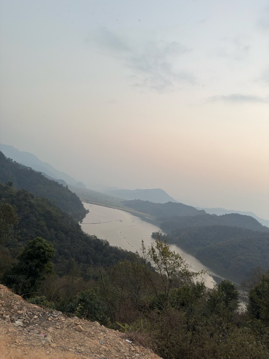 mani मनि (The Plant Person) tweet media