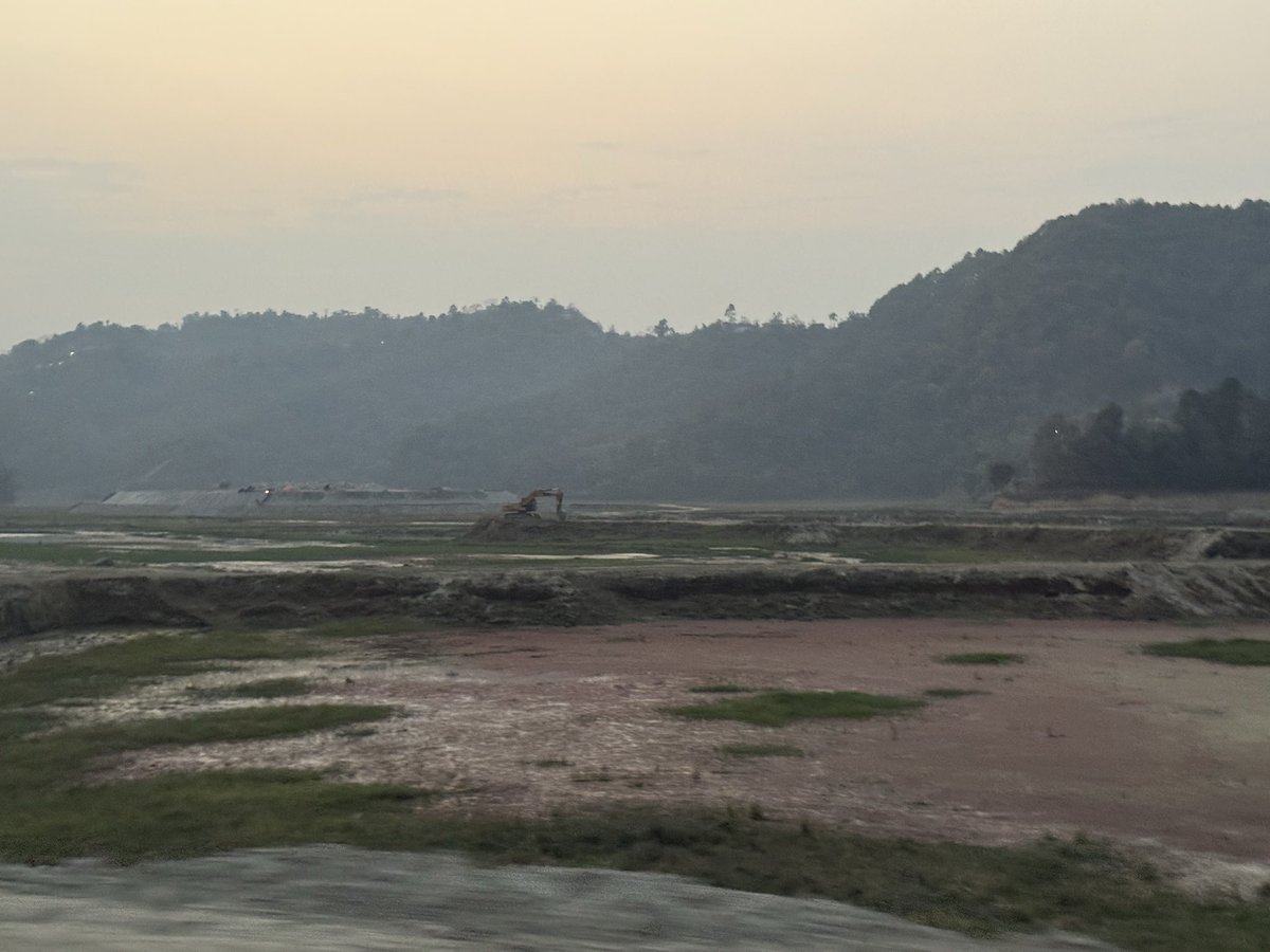 mani मनि (The Plant Person) tweet media