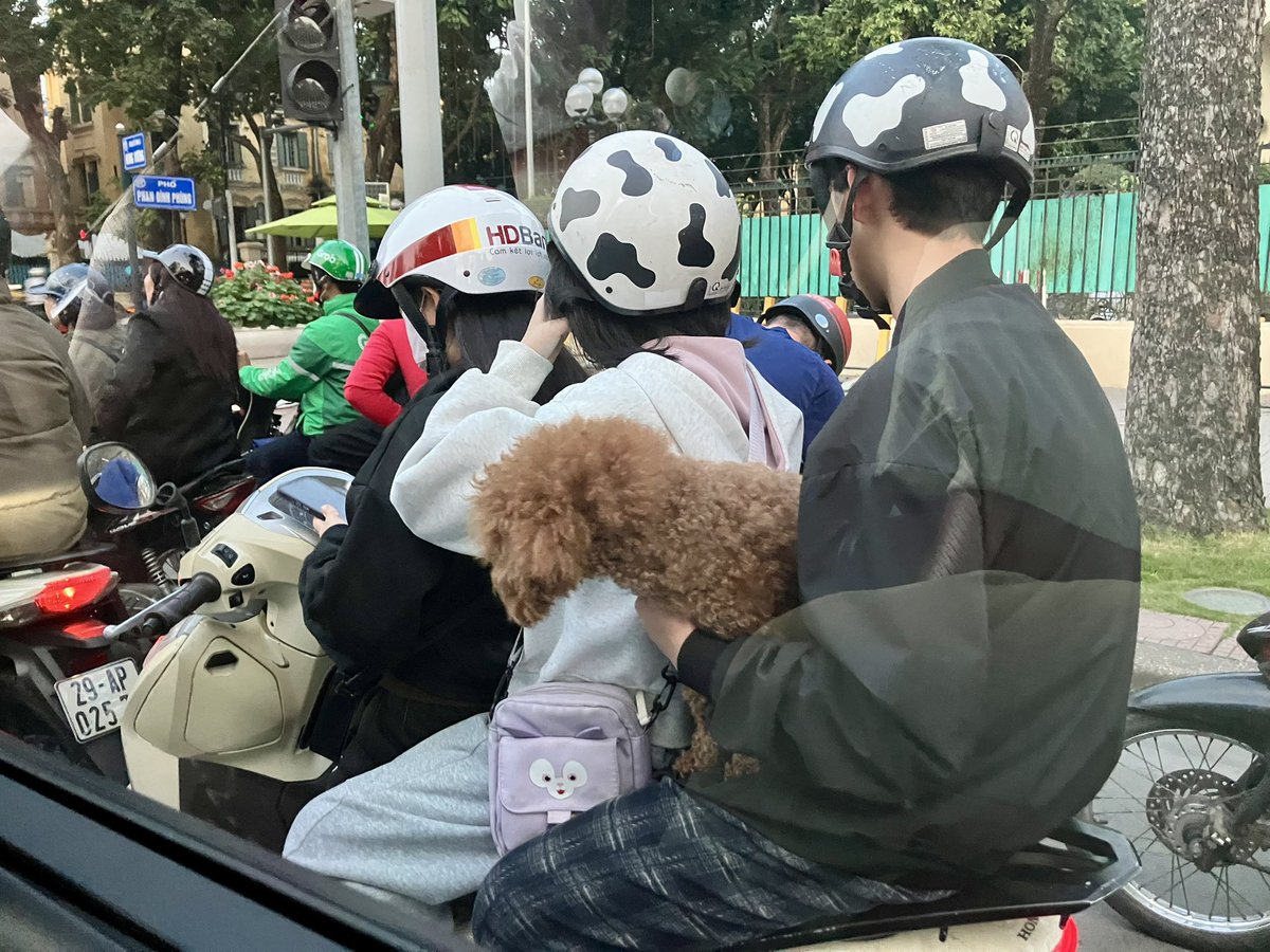 富坂美織/ Dr Miori Tomisaka tweet media