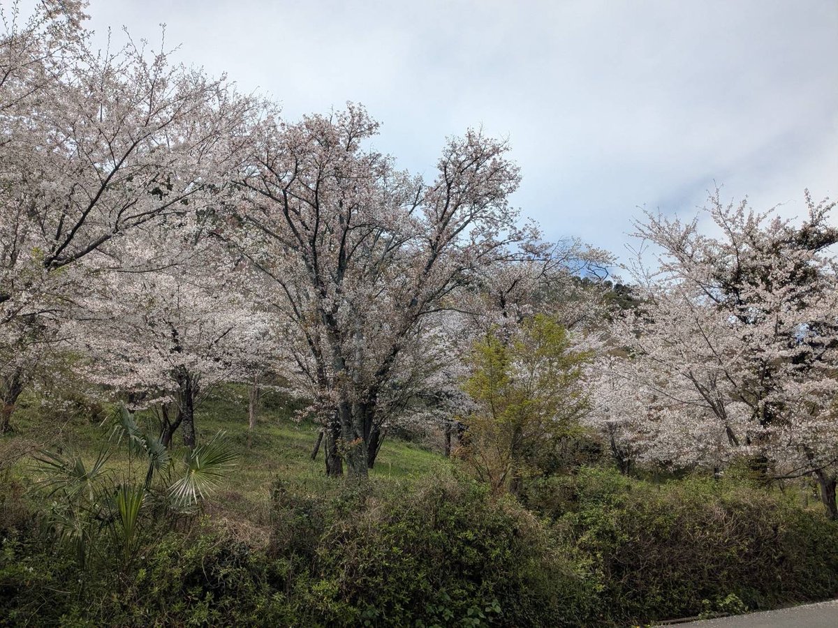 エクラベリー✨Glass Artist NAOMI tweet media