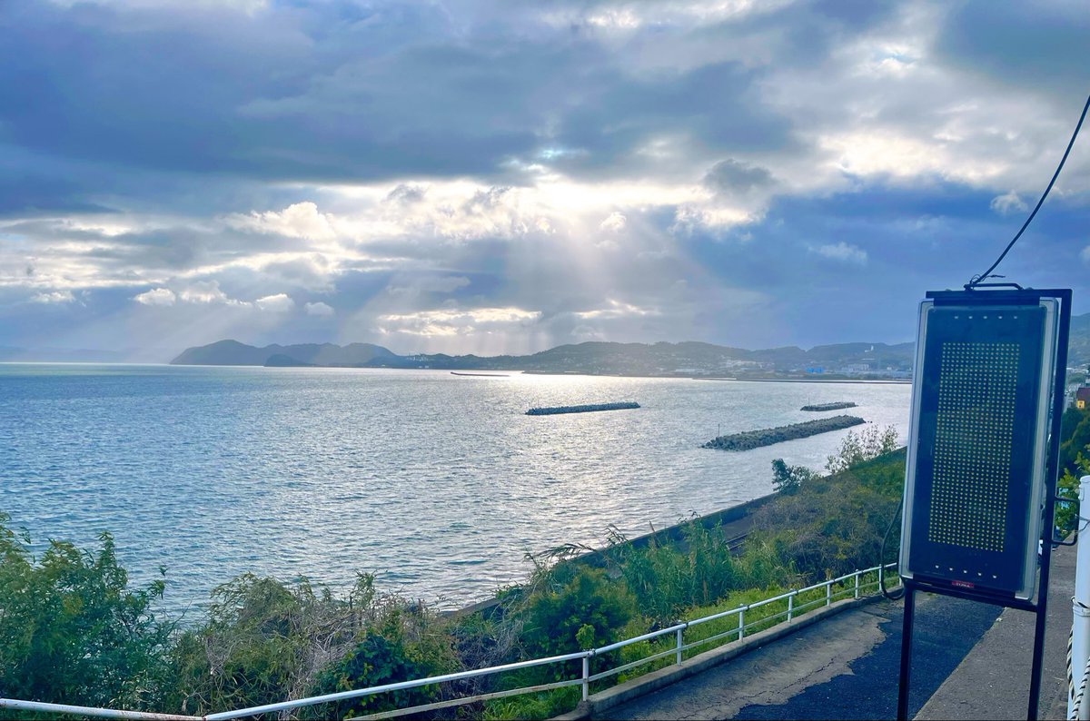 yuzuca💐 tweet media