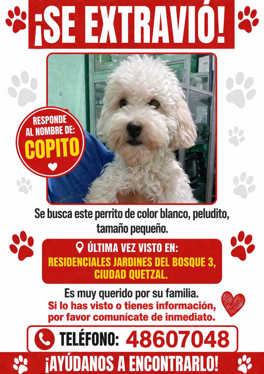 Amilcar Montejo tweet media