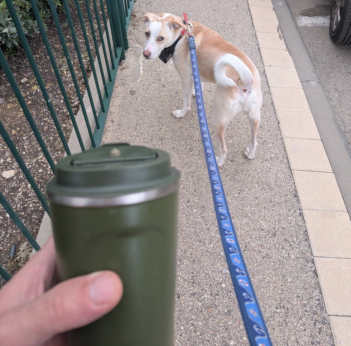 Саша (молодец) 🇮🇱 tweet media