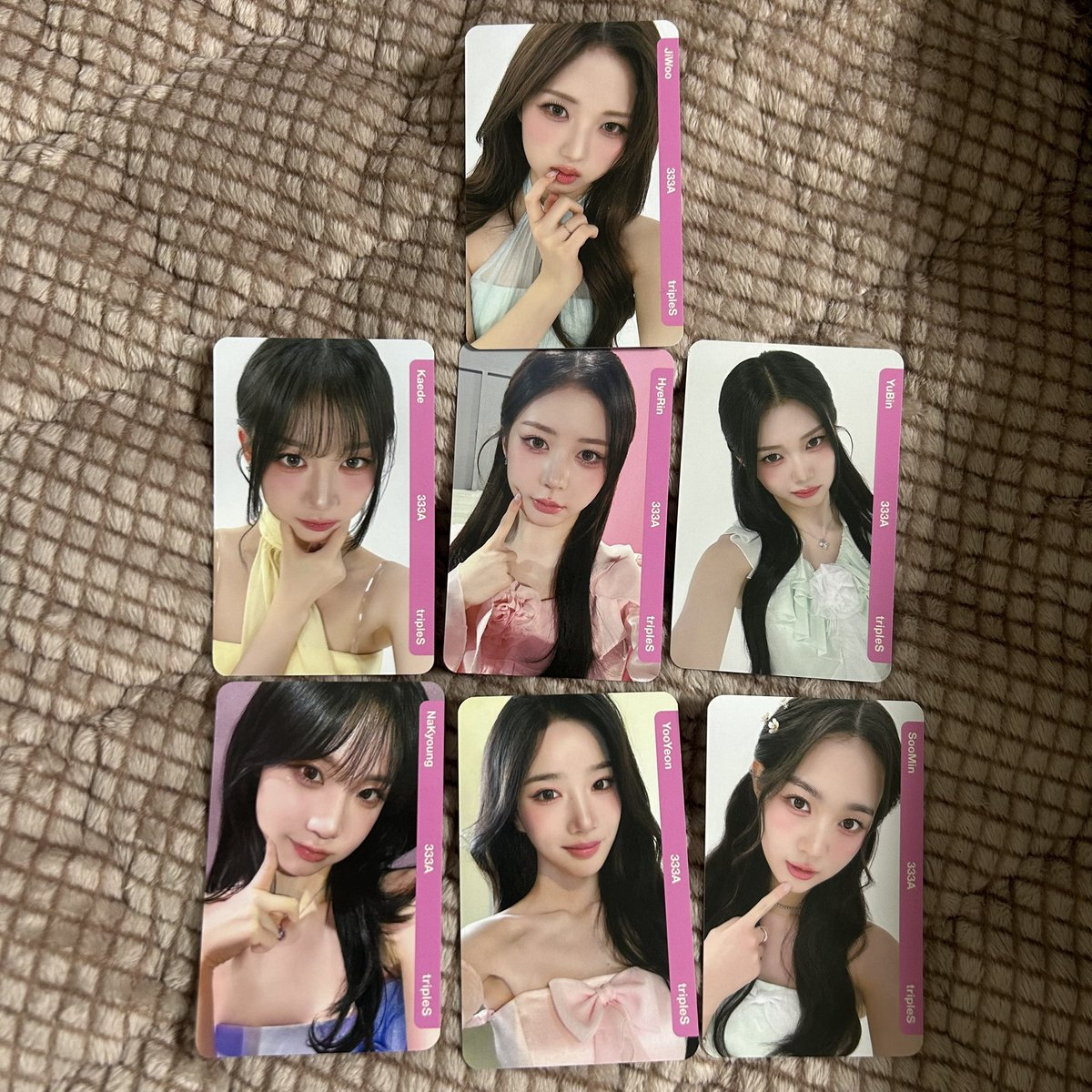 데이 tweet media