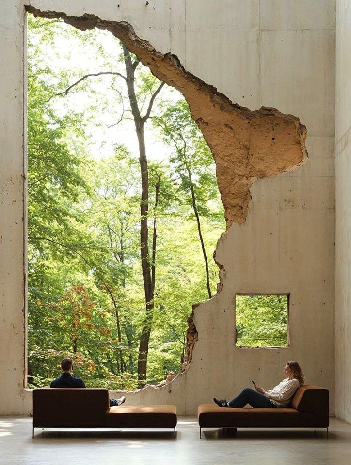 Ramin Nasibov tweet media