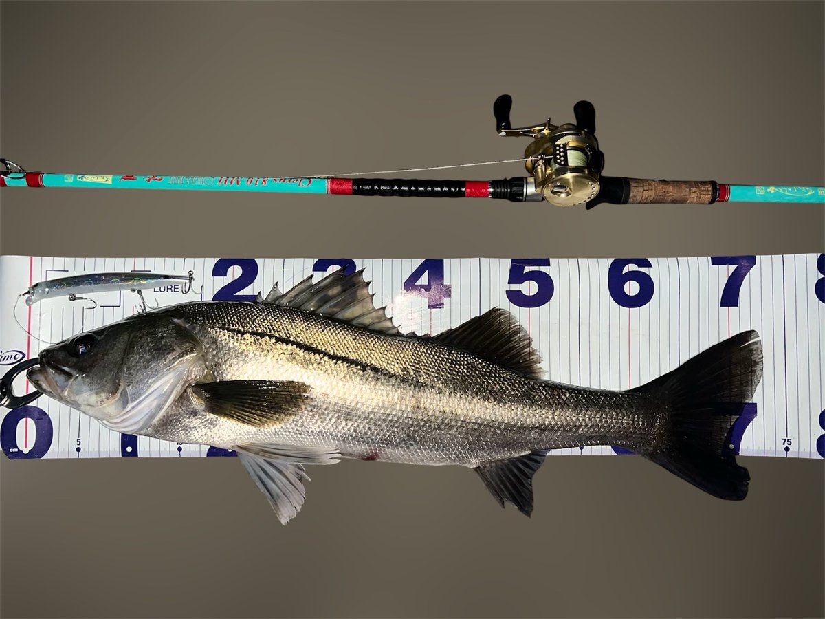 ゆうた tweet media