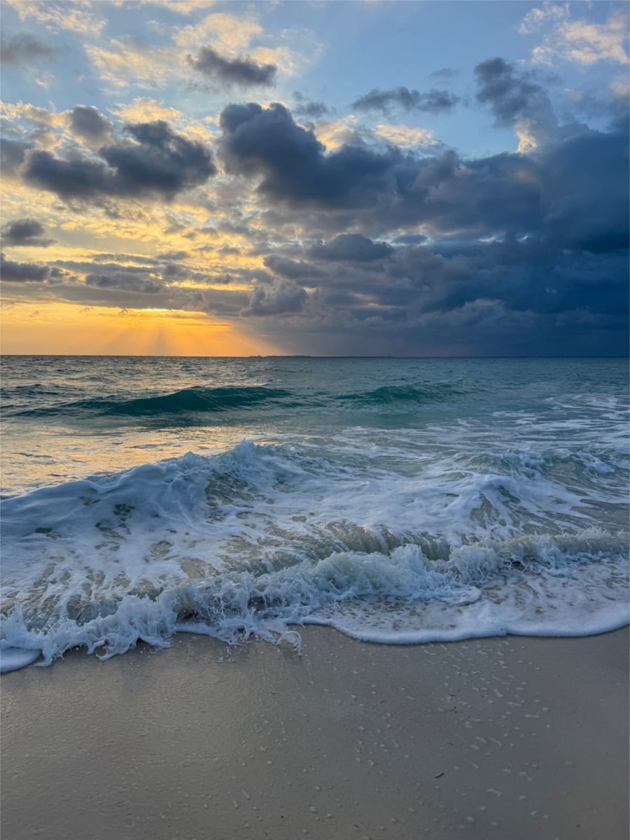 Aesthetics tweet media