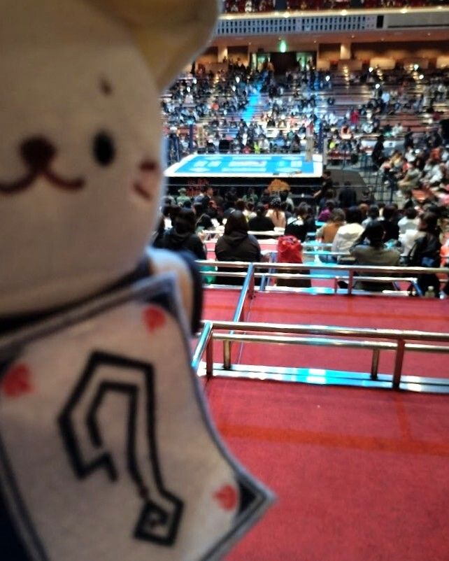 ayakaao's tweet photo. 両国いってきた！実はカラムがとるとは思ってなかった＼(^o^)／
#njSG #njpw https://t.co/8md6BnYHIT