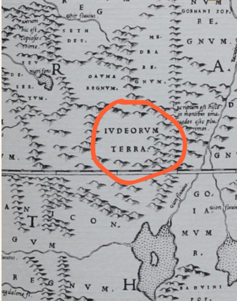 Book Coming!!! tweet media