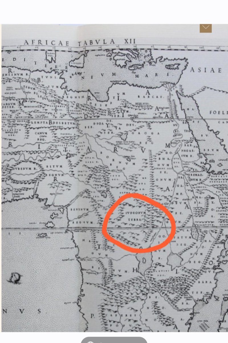 Book Coming!!! tweet media