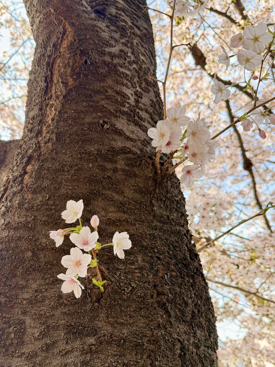 T_A_K_G(タクジィ) tweet media