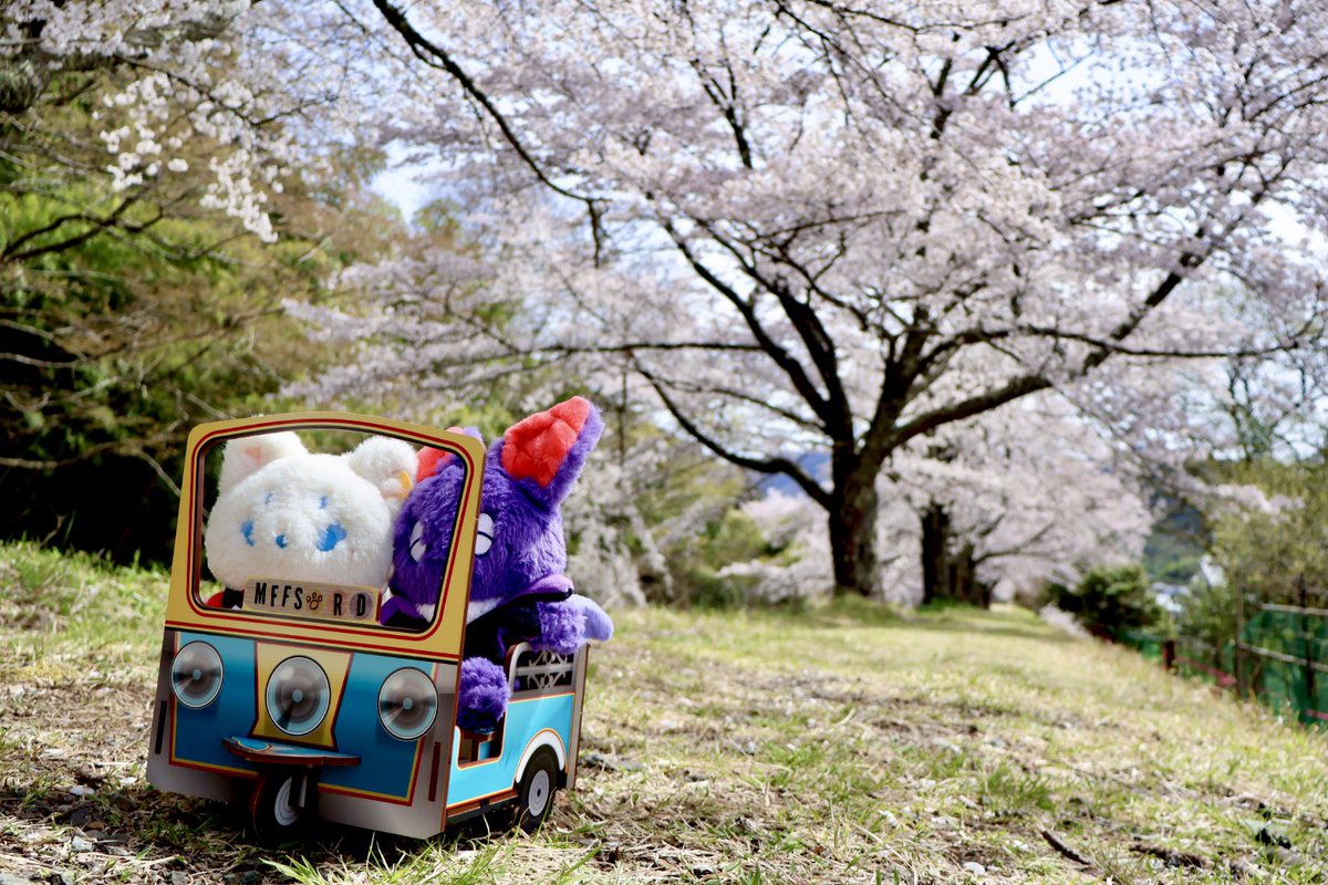 広瀬 梨有 tweet media