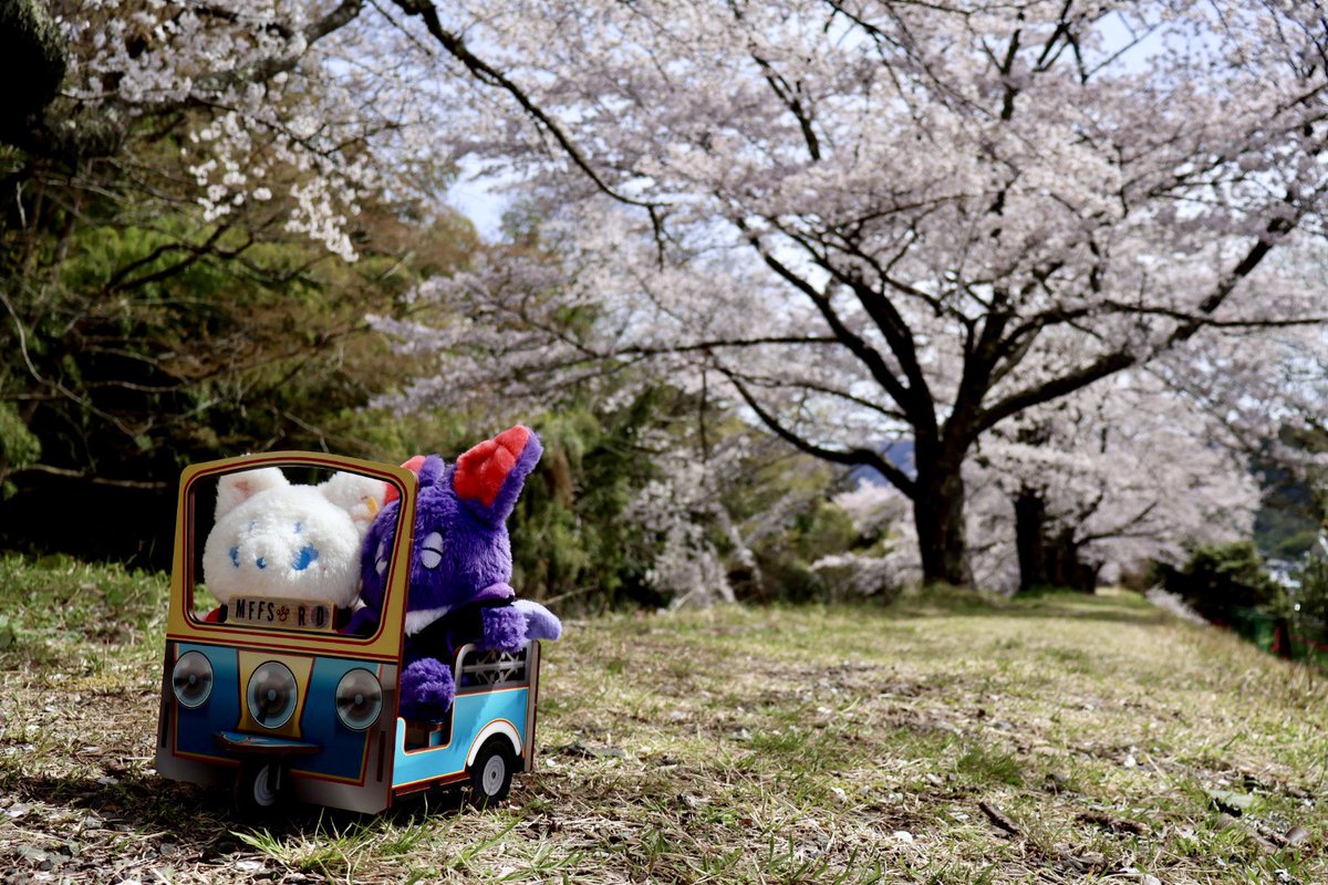 広瀬 梨有 tweet media