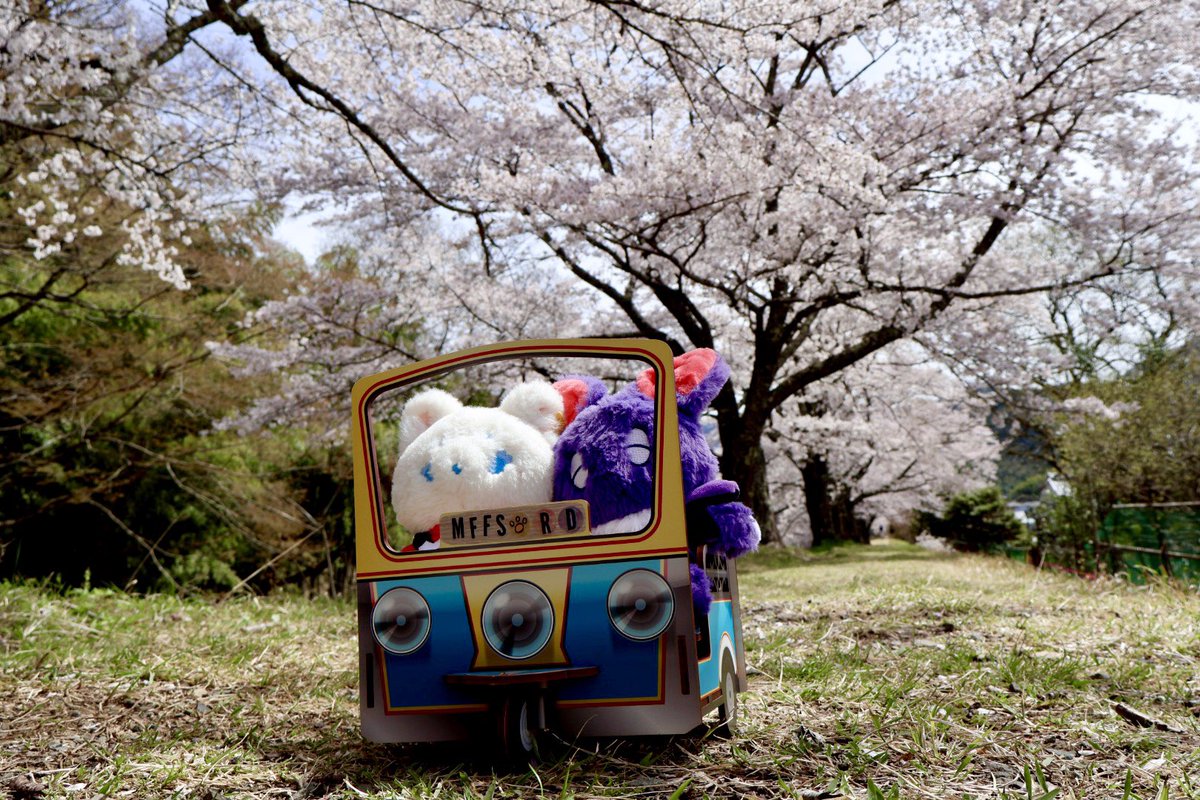 広瀬 梨有 tweet media