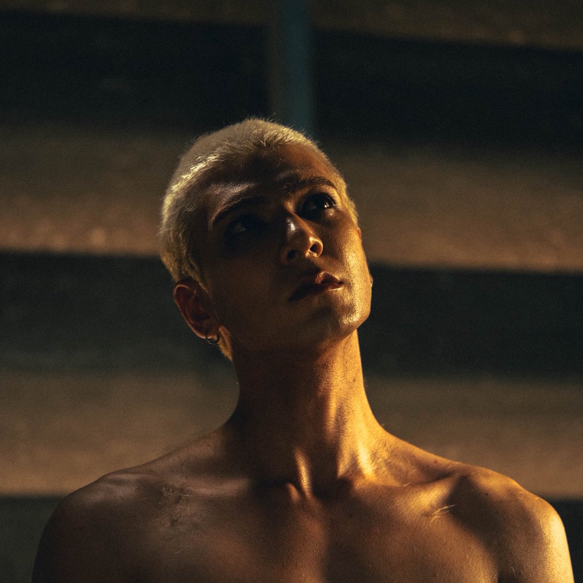 fad ˶ᵔ ᵕ ᵔ˶ tweet media