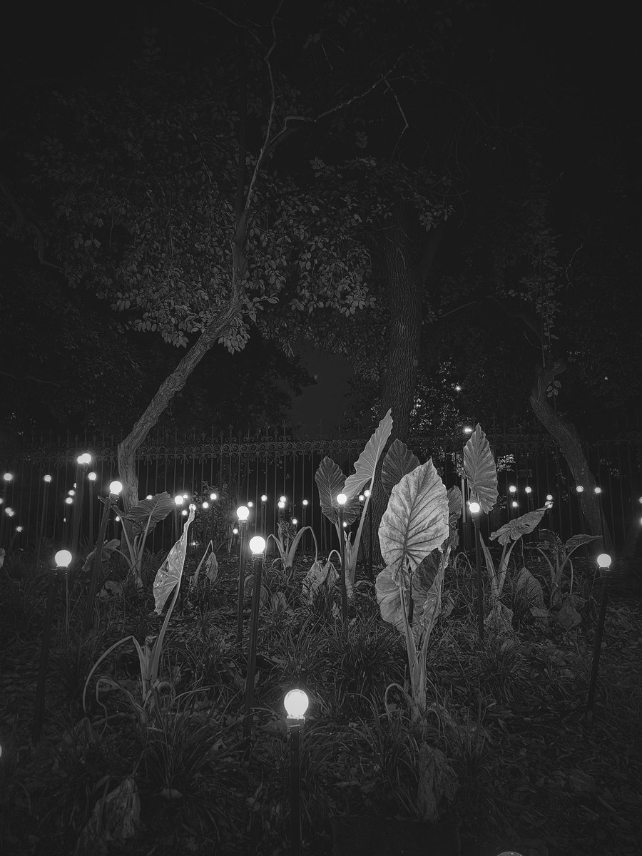 Marisol Cid tweet media